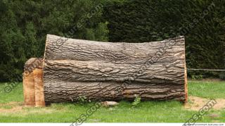 photo texture of tree bark 0004